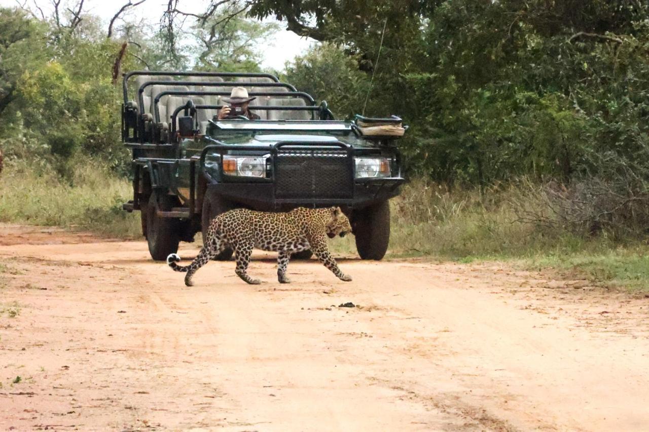 Karongwe Portfolio - Kuname Lodge Karongwe Game Reserve Екстериор снимка